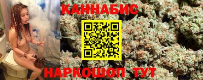 меф Гатчина