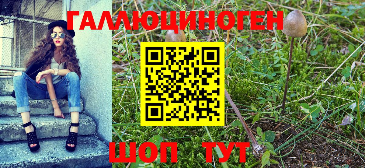 Галлюциногенные грибы мухоморы  Галлюциногенные грибы ЛСД  Ипатово  Вход с VPN 